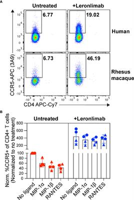 CCR5 Receptor Occupancy Analysis Reveals Increased Peripheral Blood CCR5+CD4+ T Cells Following Treatment With the Anti-CCR5 Antibody Leronlimab